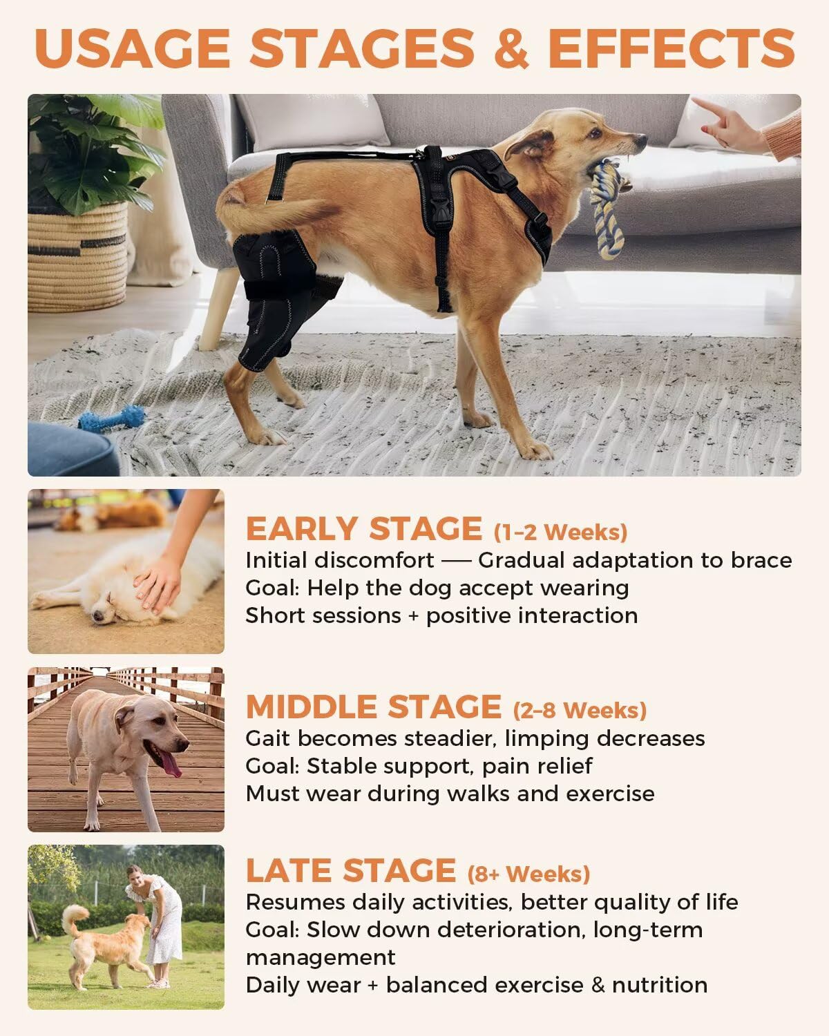 Dog Knee Brace for Rear Leg Support 