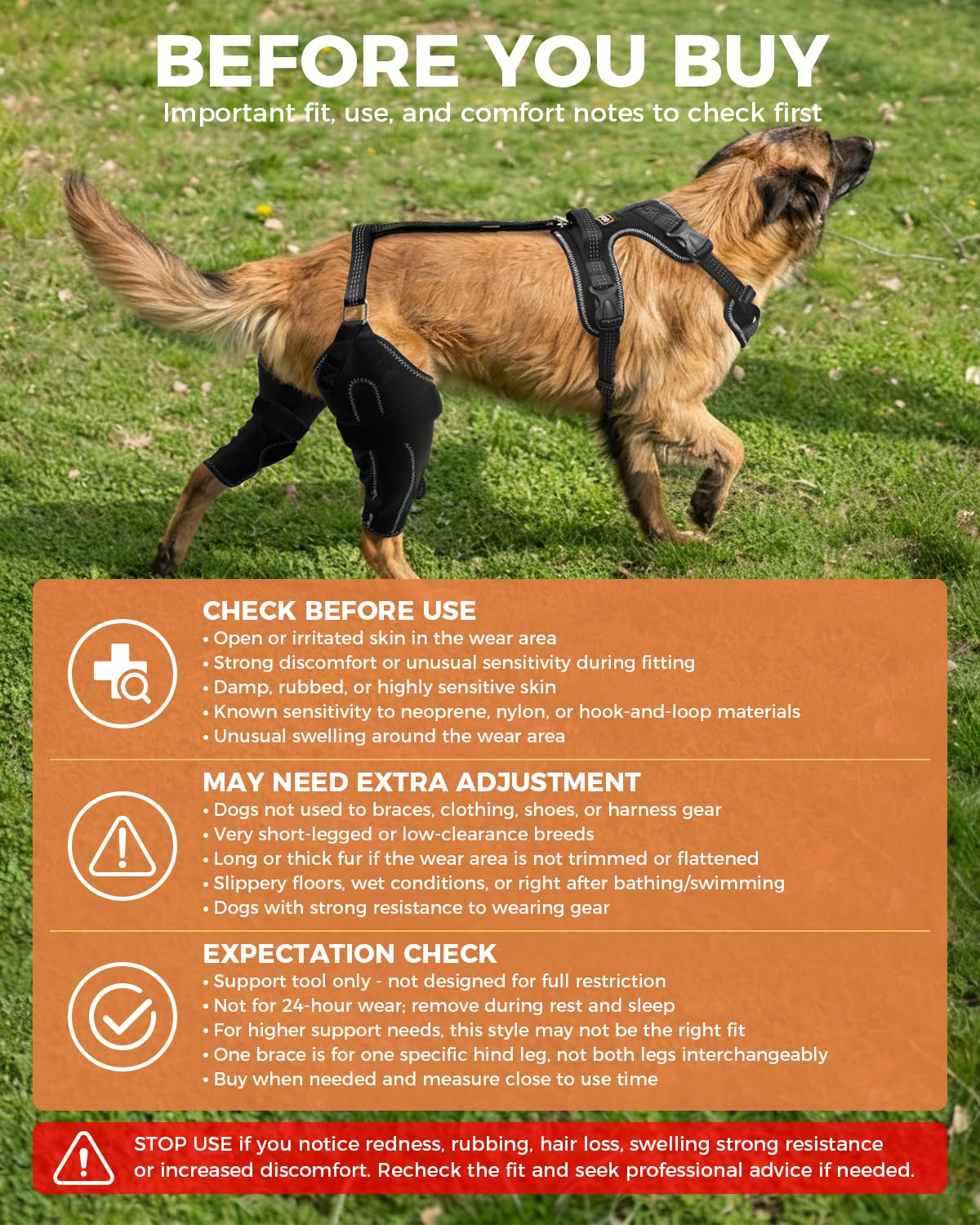Dog Knee Brace for Rear Leg Support 