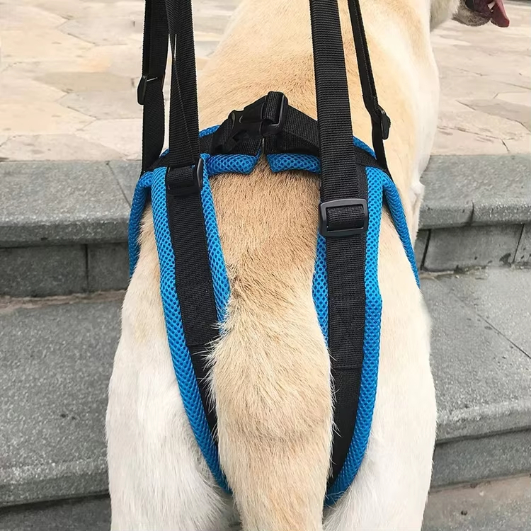 Dog Sling for Large Dogs Hind Leg Support
