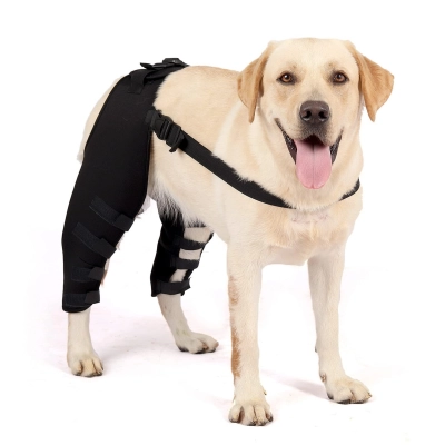 Dog Leg Brace for Hind Leg ACL CCL Tear Canine Rear Hock Joint Brace 01