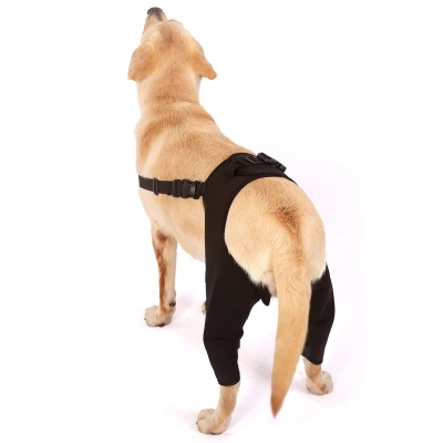 Dog Leg Brace for Hind Leg ACL CCL Tear Canine Rear Hock Joint Brace 02