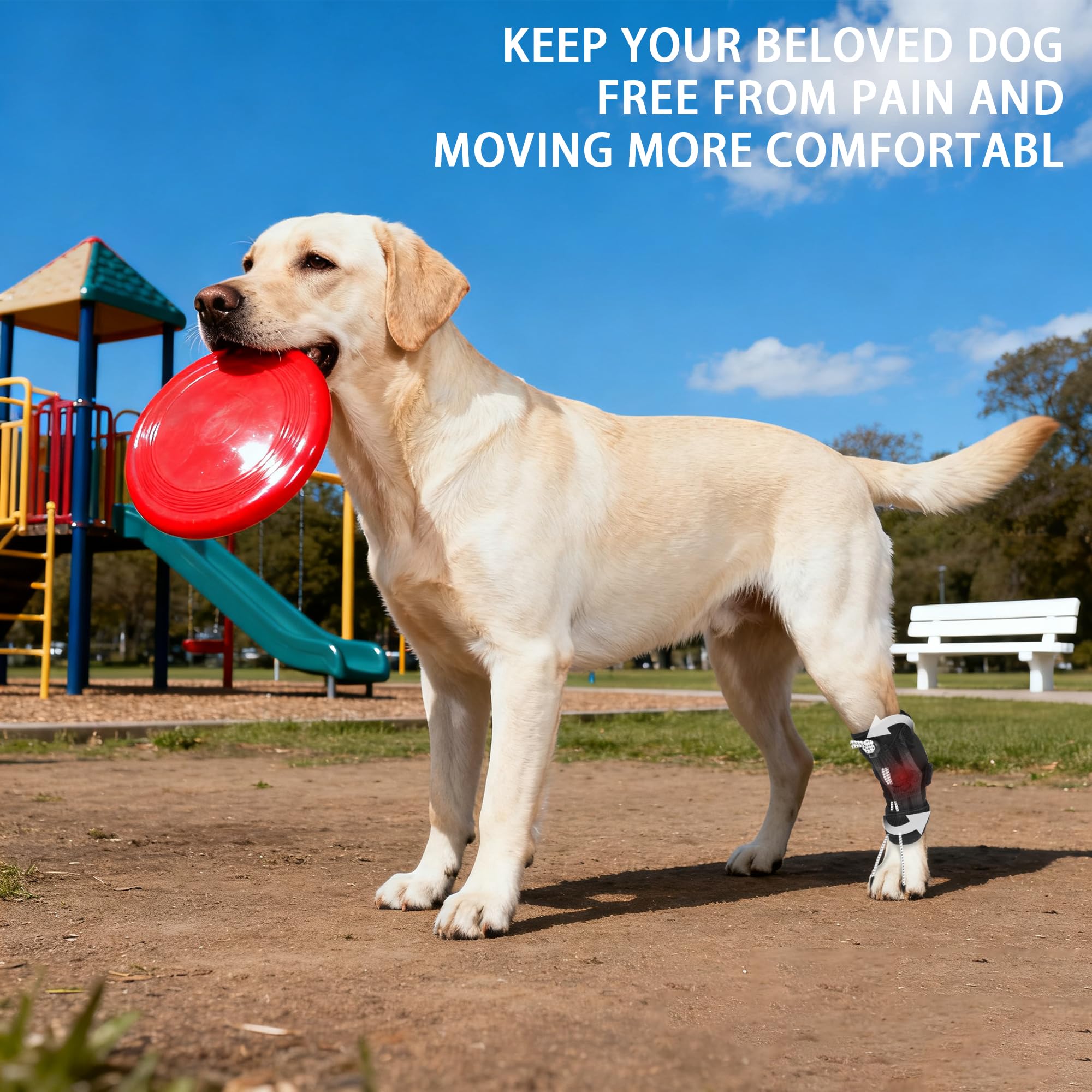 Adjustable Dog Knuckling Brace Dog Toe Grips 