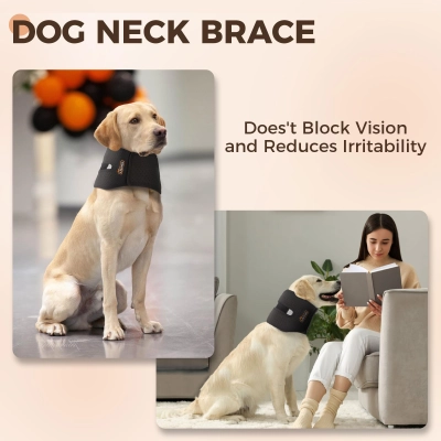Dog Neck Brace with Support Strips 02