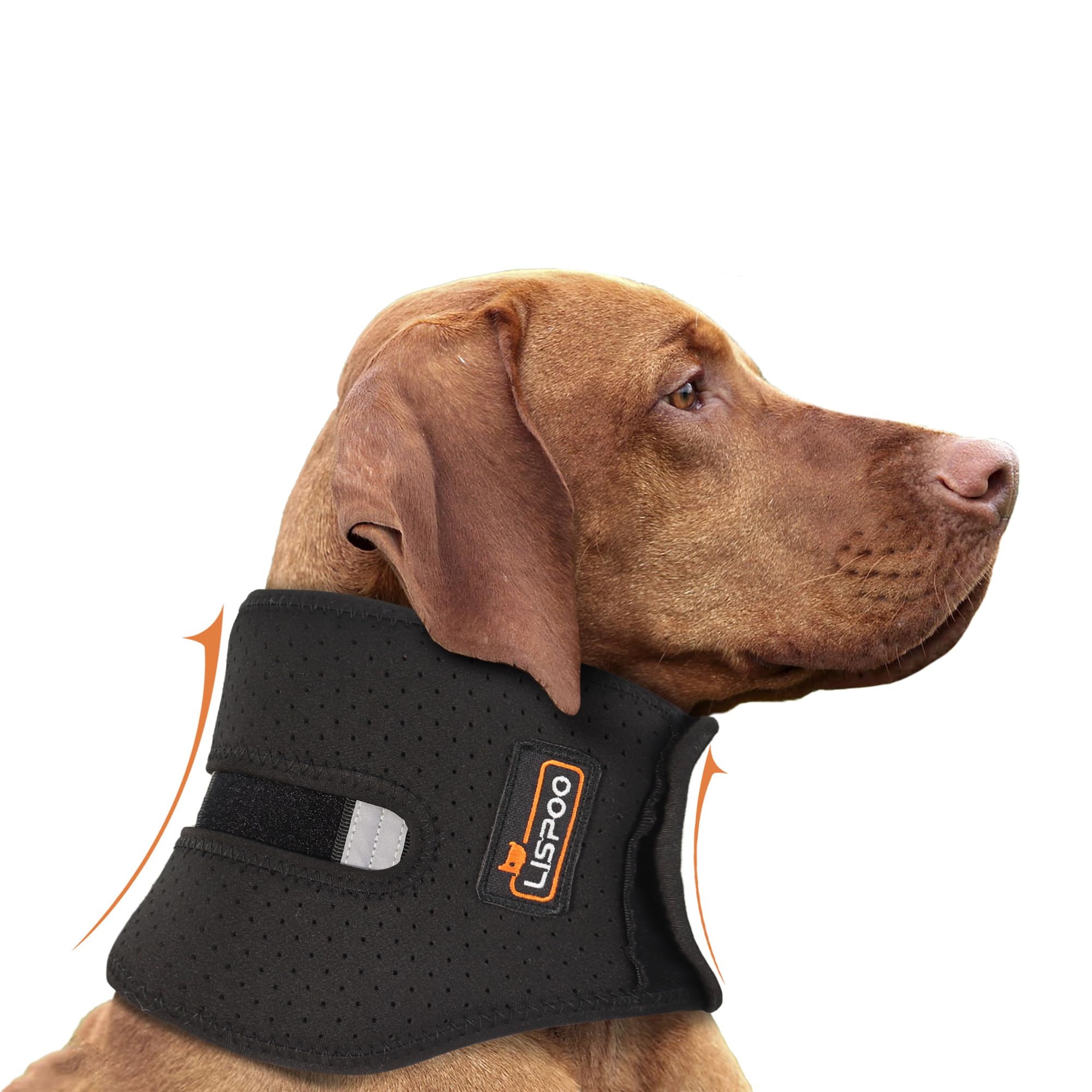 Dog Neck Brace with Support Strips