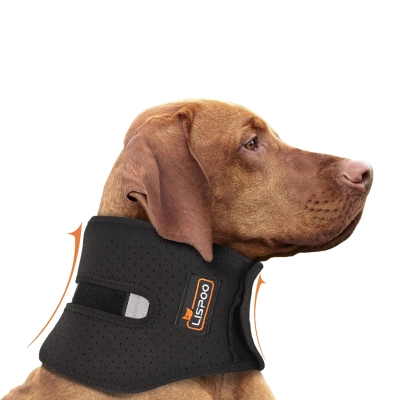 Dog Neck Brace with Support Strips 01