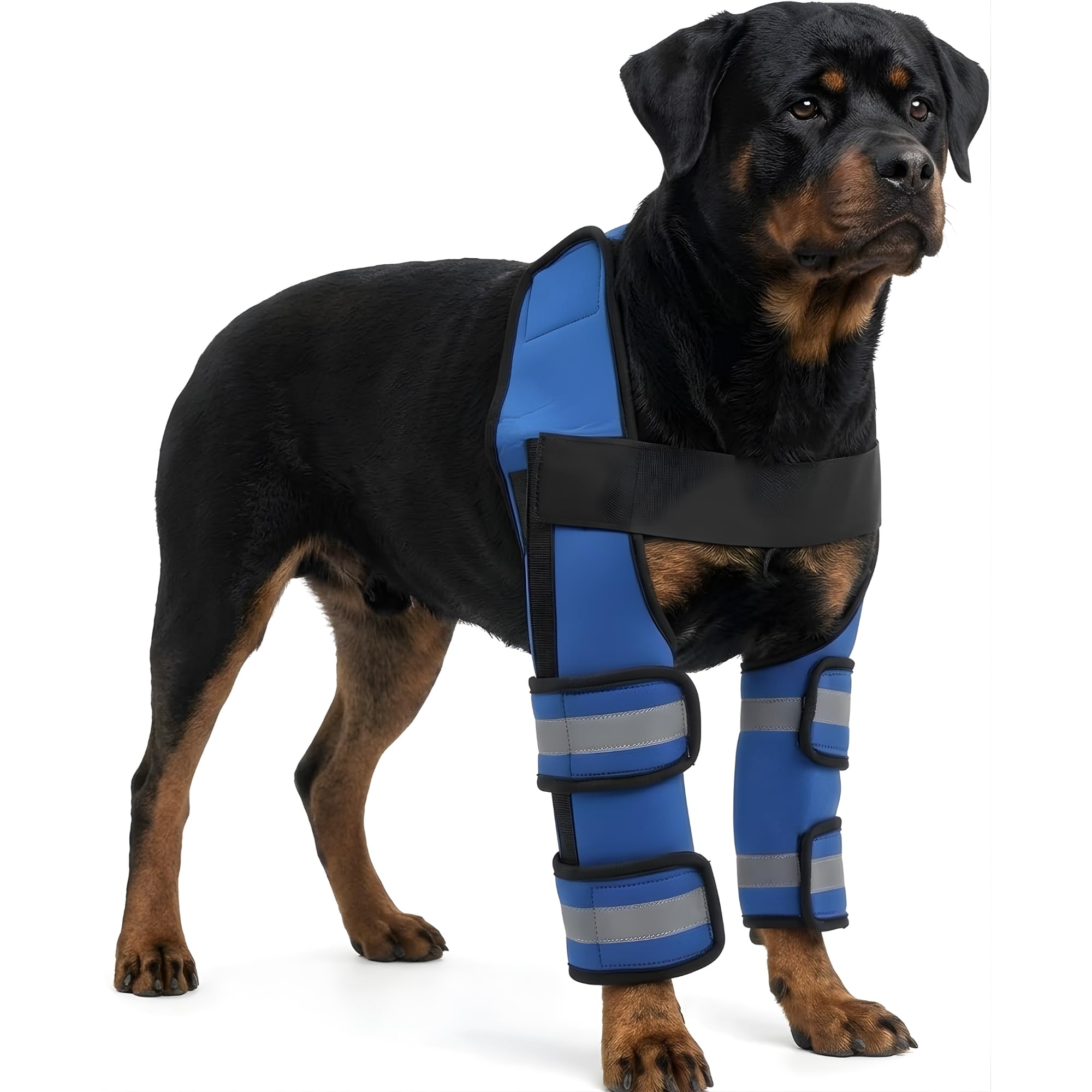 Adjustable Dog Elbow and Knee Support Brace for Front Legs with 4 Support Strips