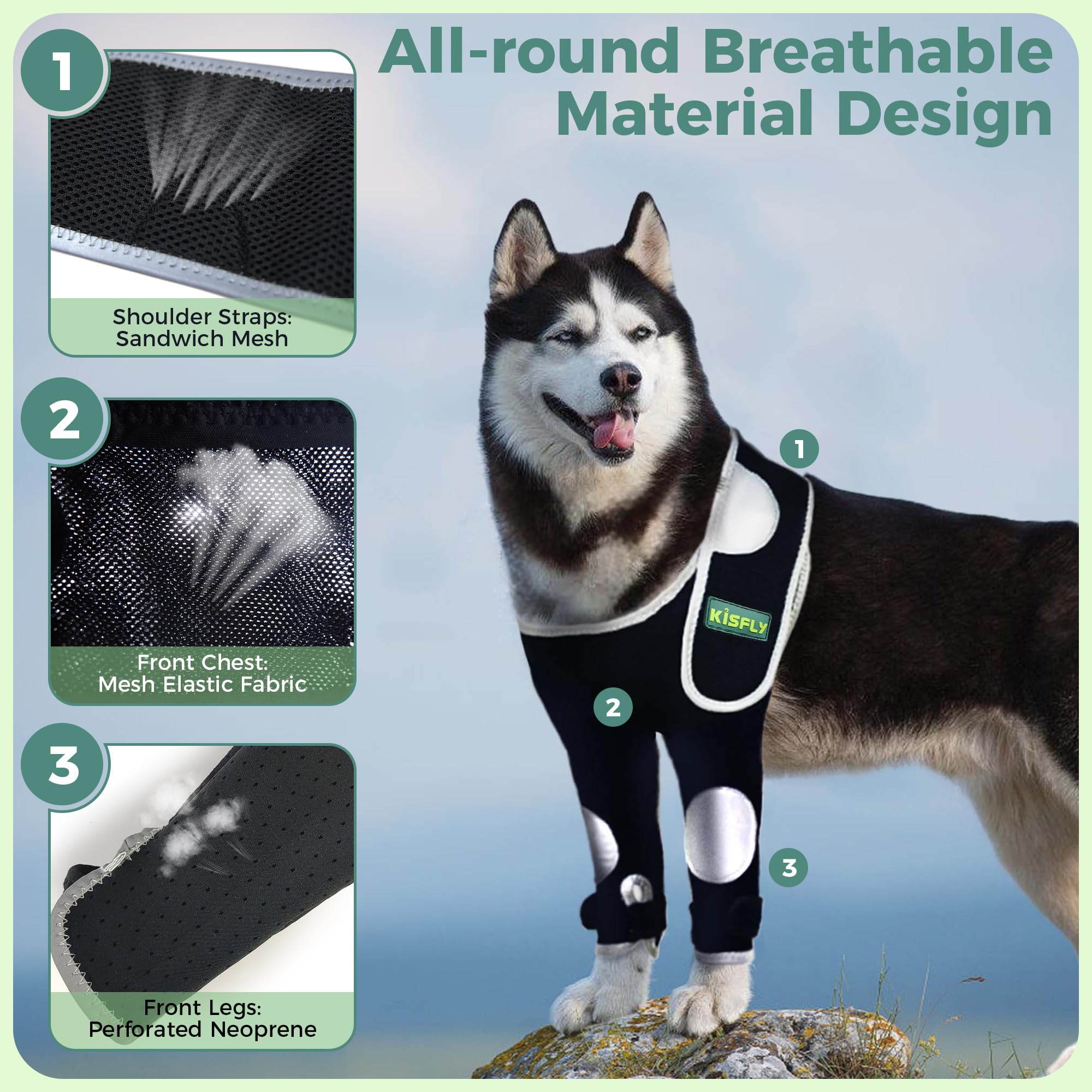 Dog Elbow & Dog Shoulder Brace to Stop Licking