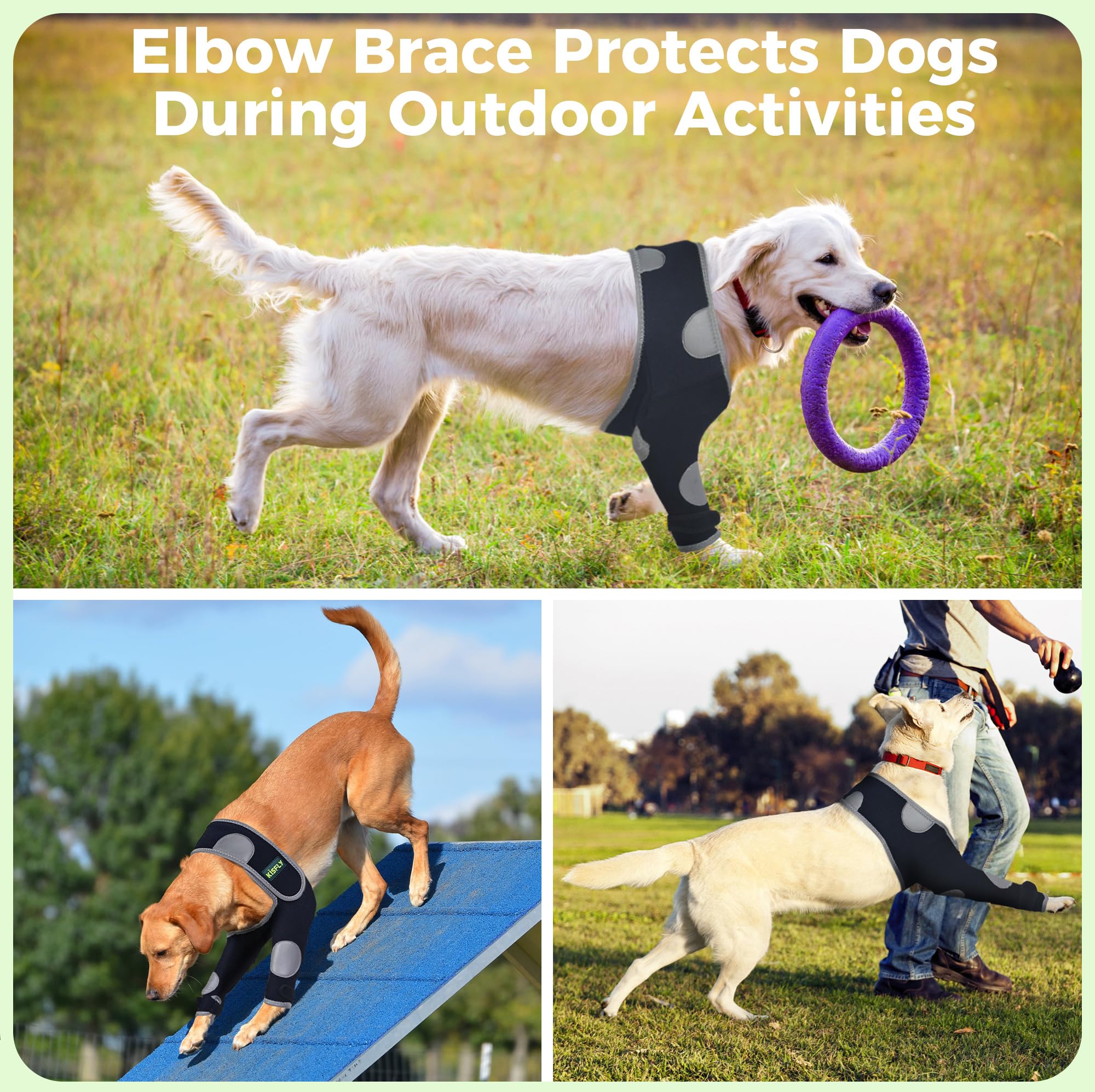Dog Elbow & Dog Shoulder Brace to Stop Licking