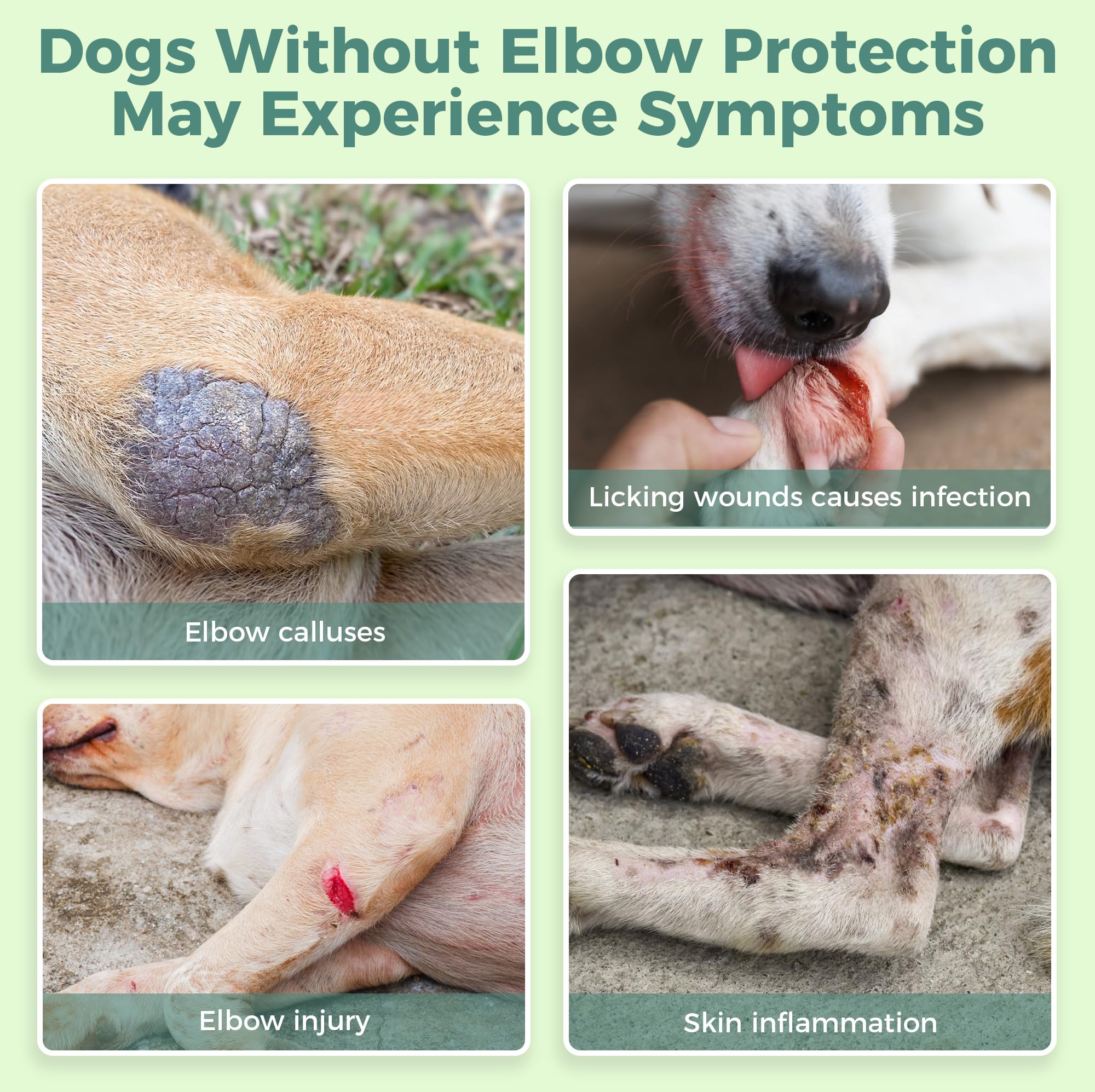 Dog Elbow & Dog Shoulder Brace to Stop Licking