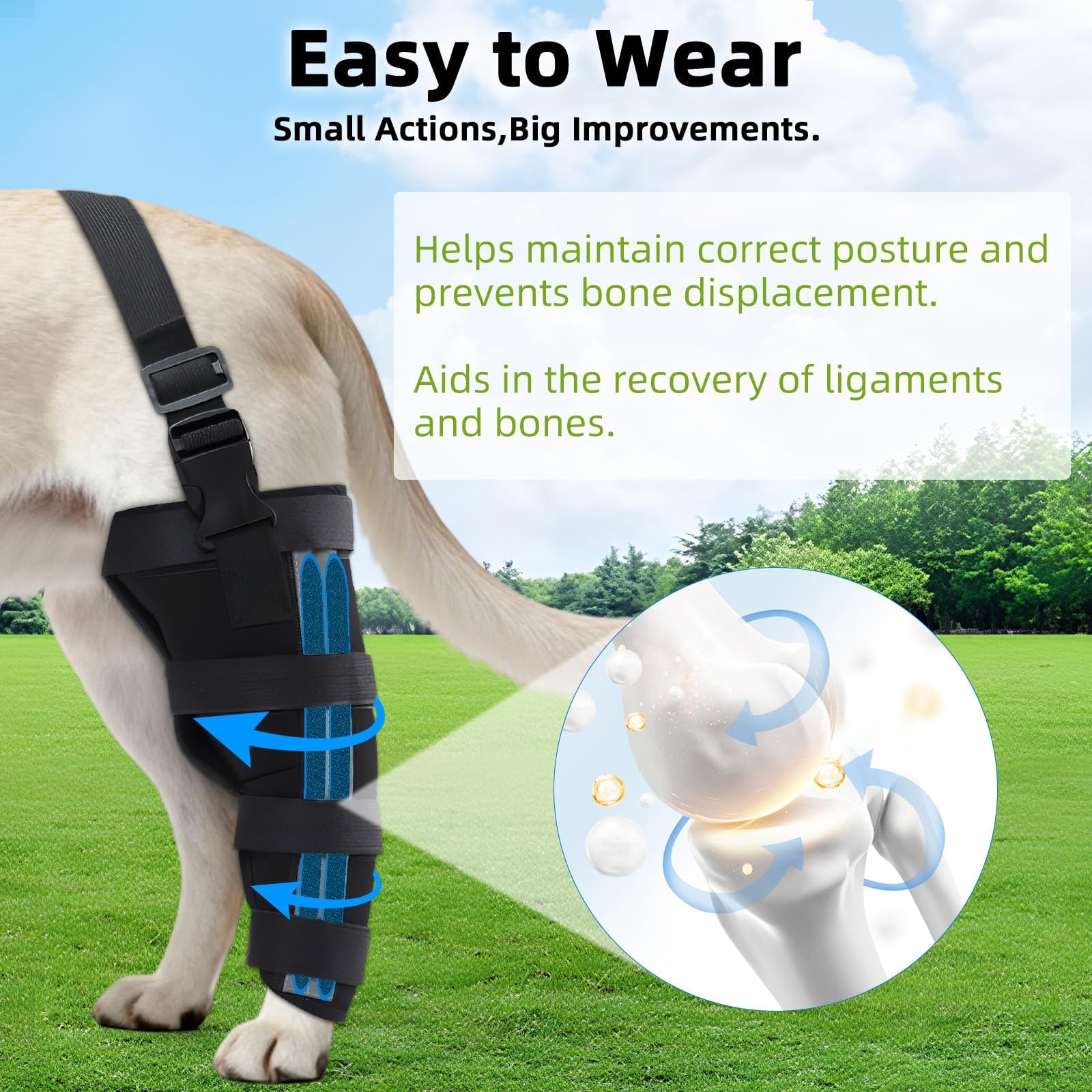 Orthopedic Dog Knee Braces for Hind Leg