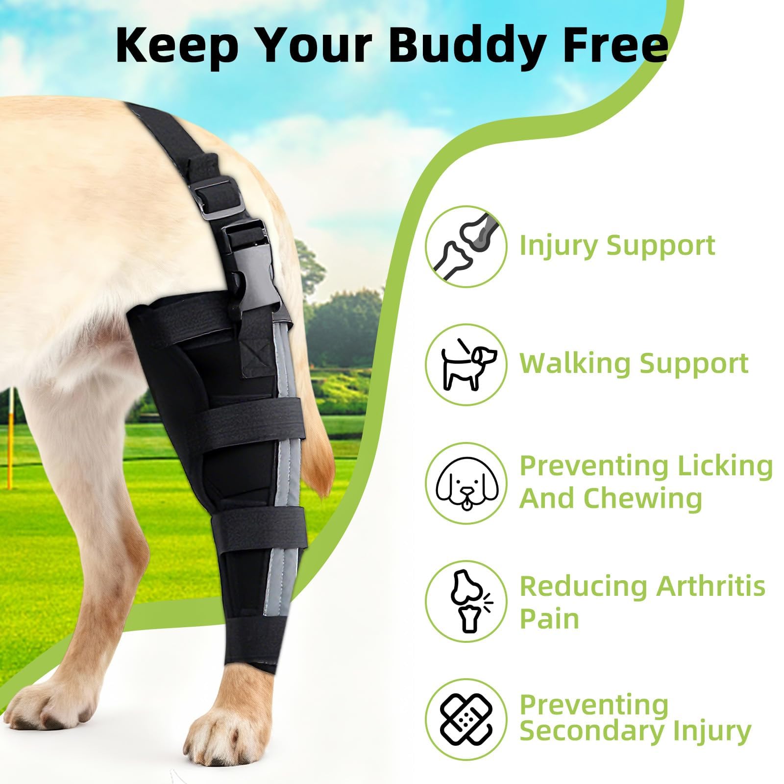 Orthopedic Dog Knee Braces for Hind Leg