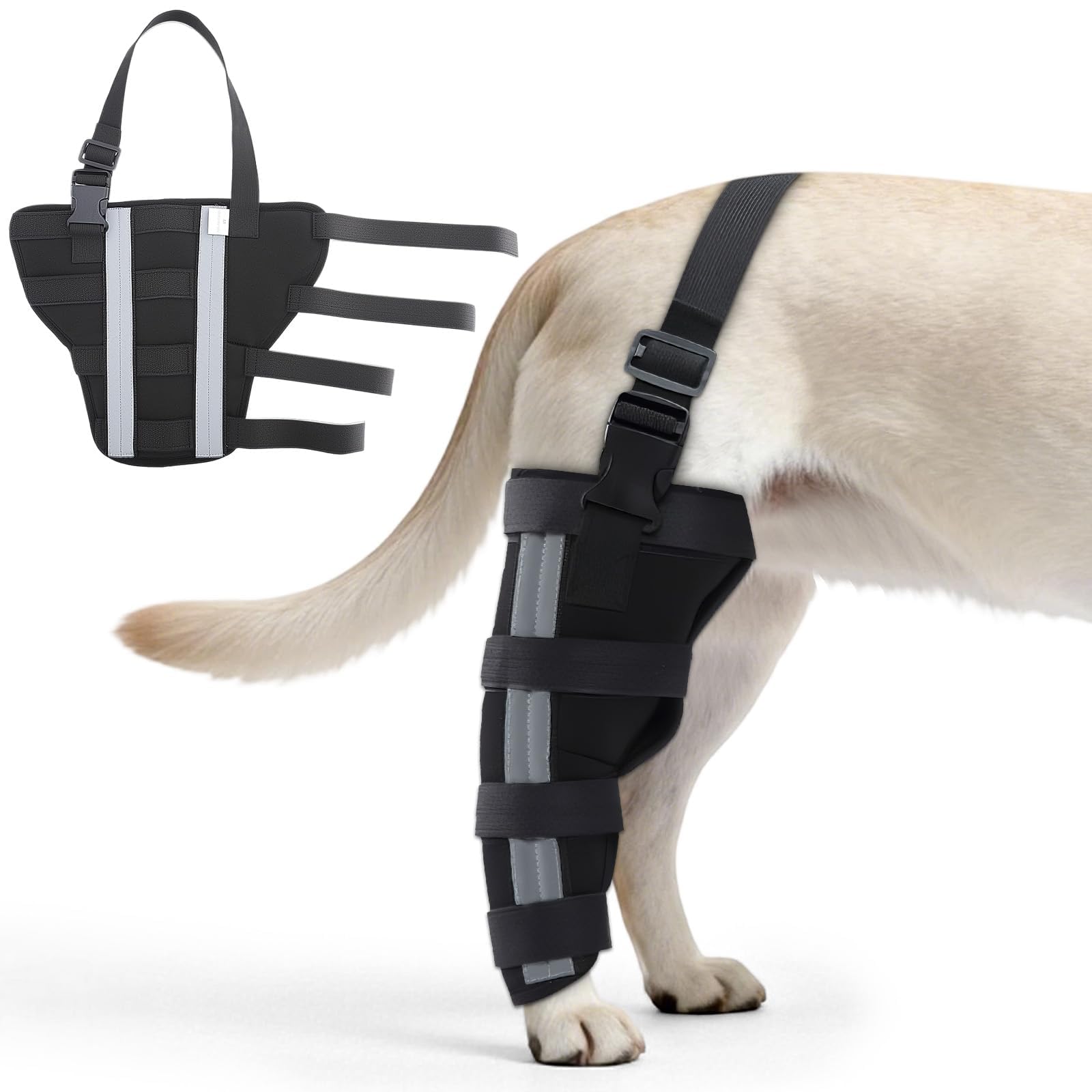 Orthopedic Dog Knee Braces for Hind Leg
