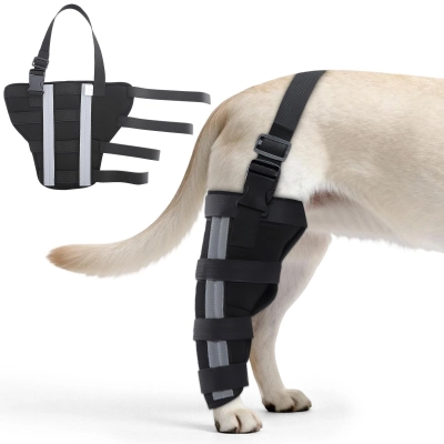Orthopedic Dog Knee Braces for Hind Leg 01
