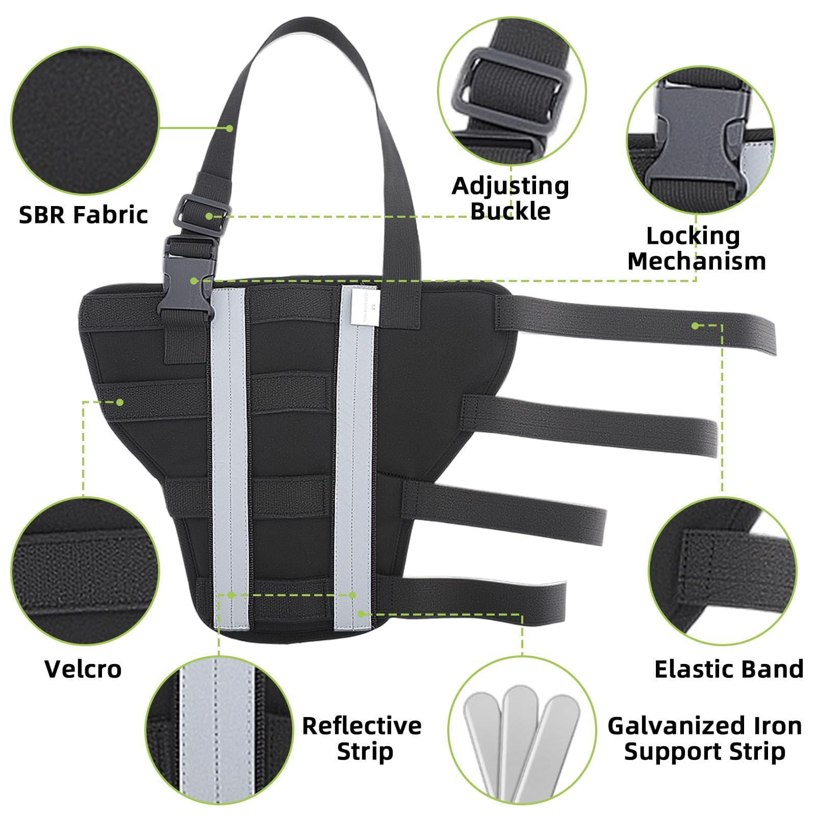 Orthopedic Dog Knee Braces for Hind Leg