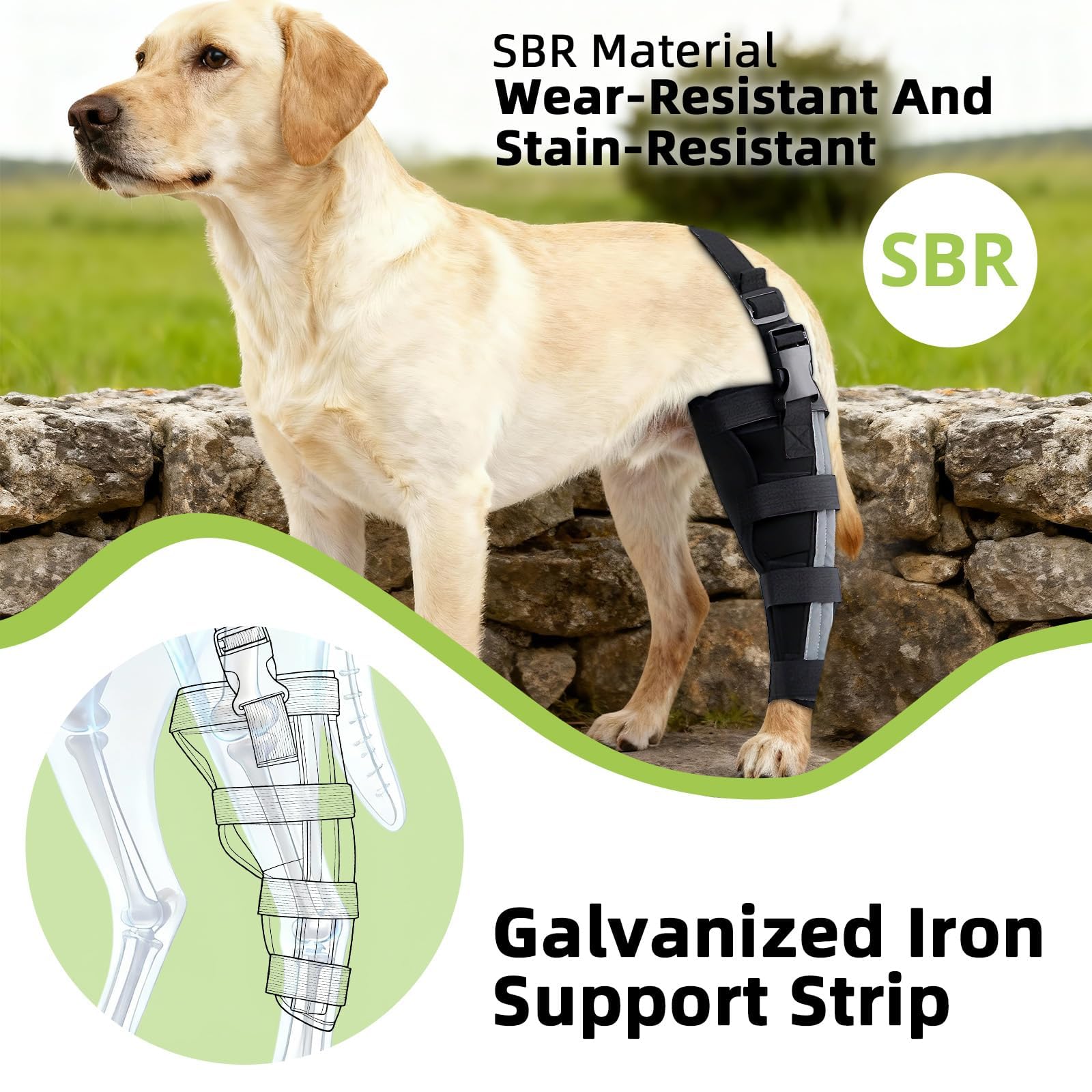 Orthopedic Dog Knee Braces for Hind Leg