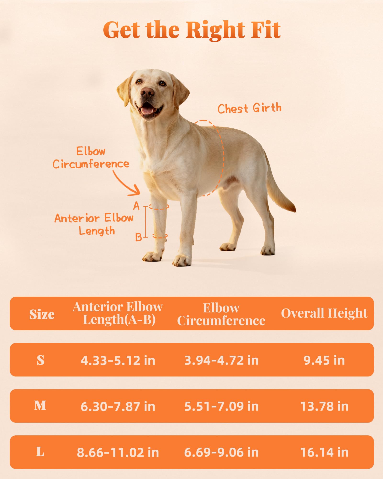 Reflective Dog Front Leg Brace for Knee Carpal Wrist Support