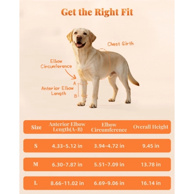 Reflective Dog Front Leg Brace for Knee Carpal Wrist Support 02