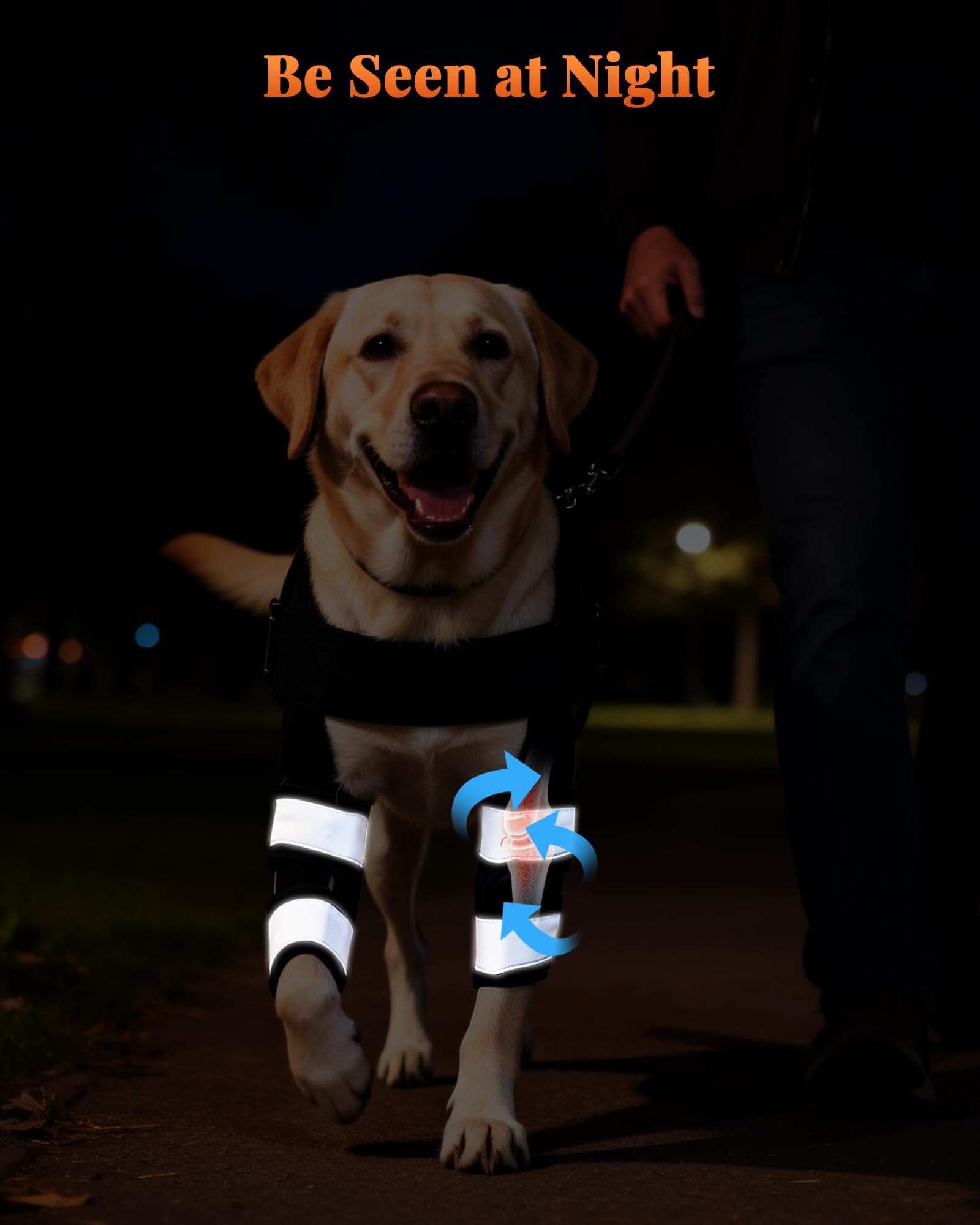 Reflective Dog Front Leg Brace for Knee Carpal Wrist Support