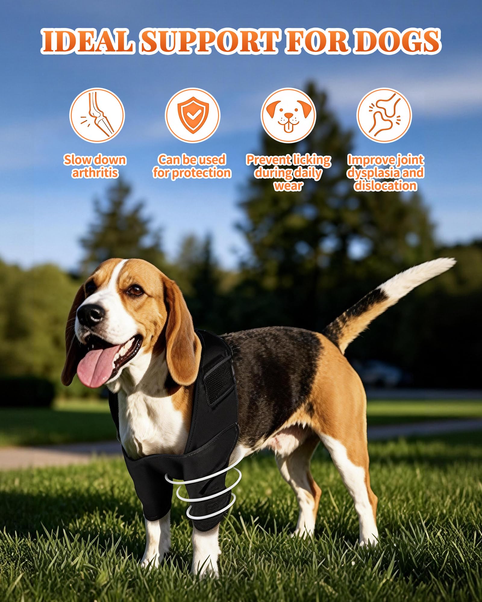Reflective Dog Front Leg Brace for Knee Carpal Wrist Support