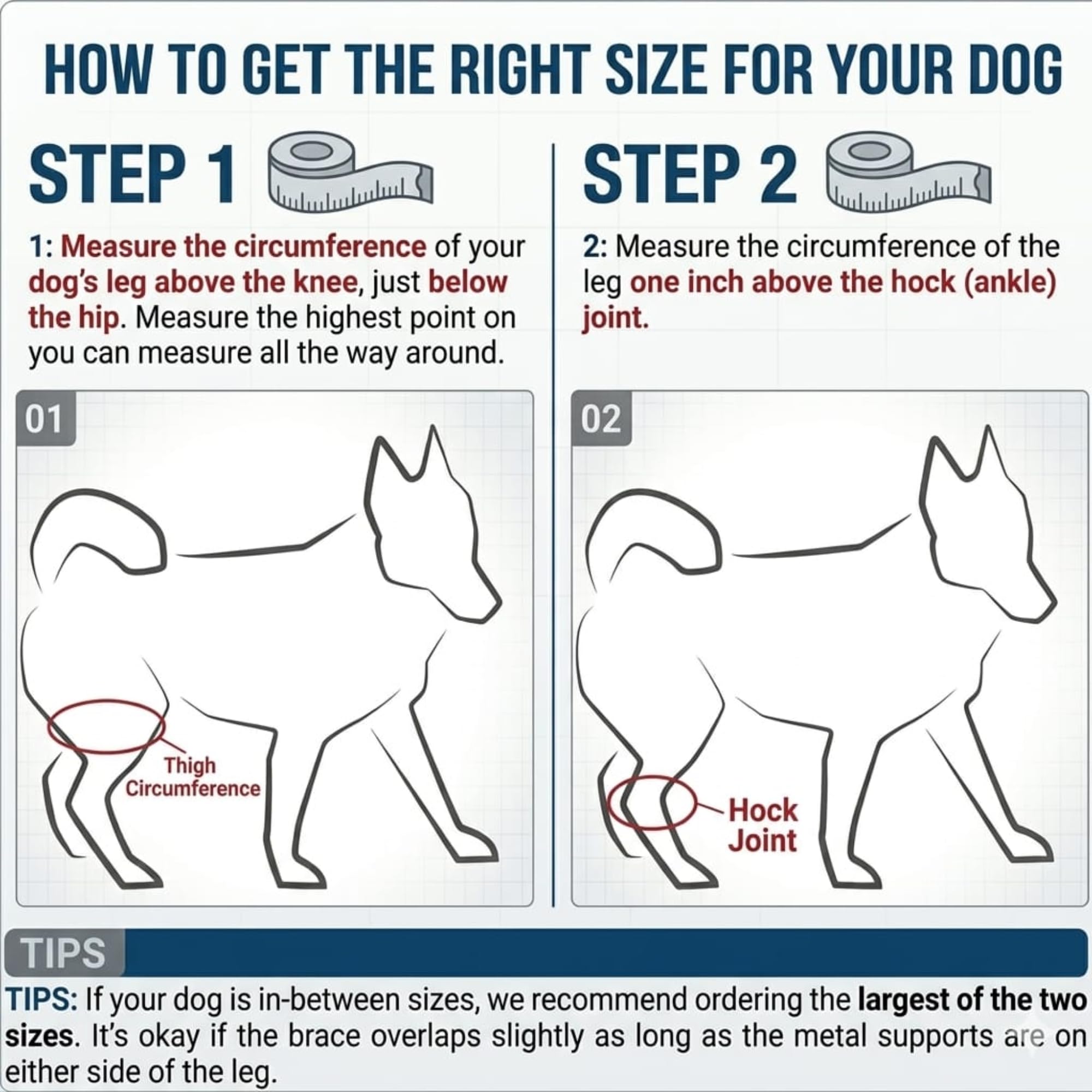 Reflective Dog Knee Brace for Hind Legs
