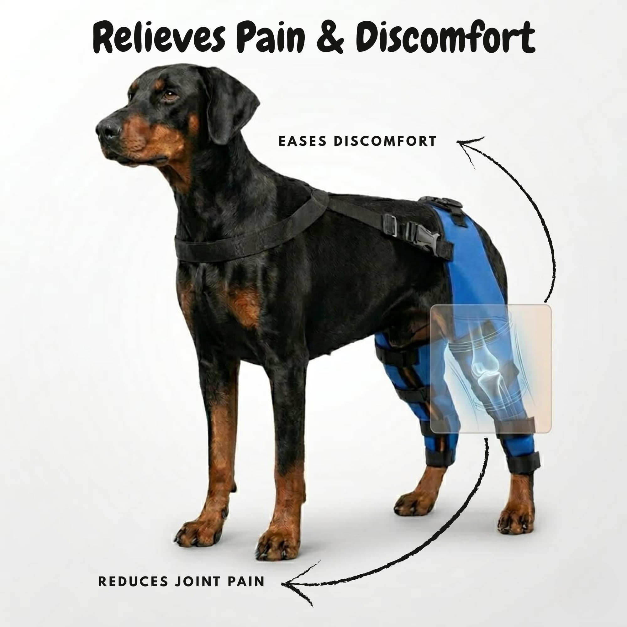 Reflective Dog Knee Brace for Hind Legs