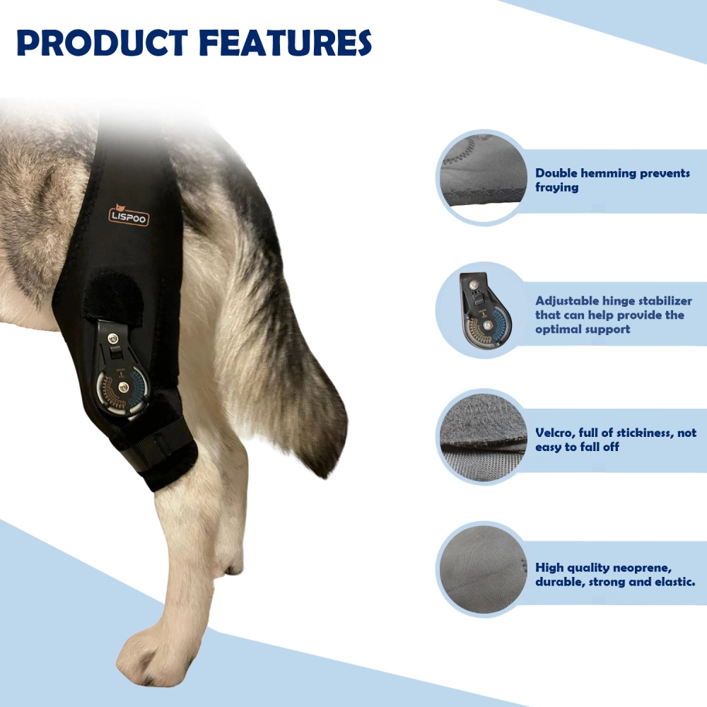 Adjustable Dog Knee Brace for Torn ACL Hind Leg
