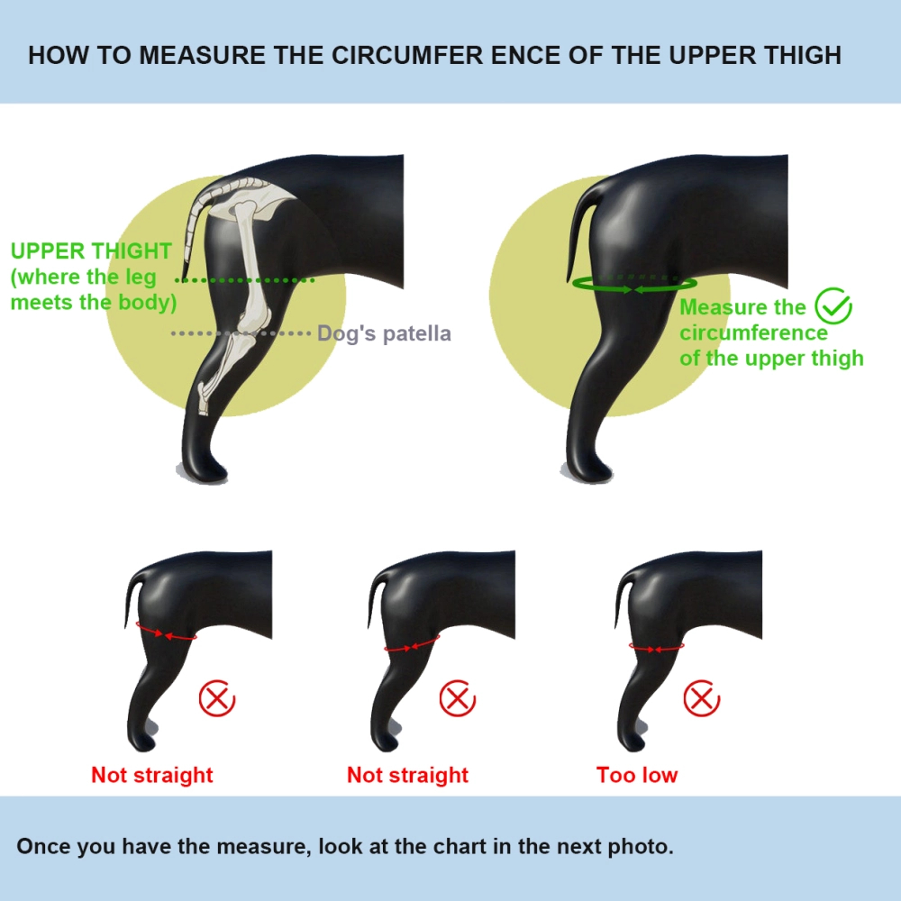 Adjustable Dog Knee Brace for Torn ACL Hind Leg