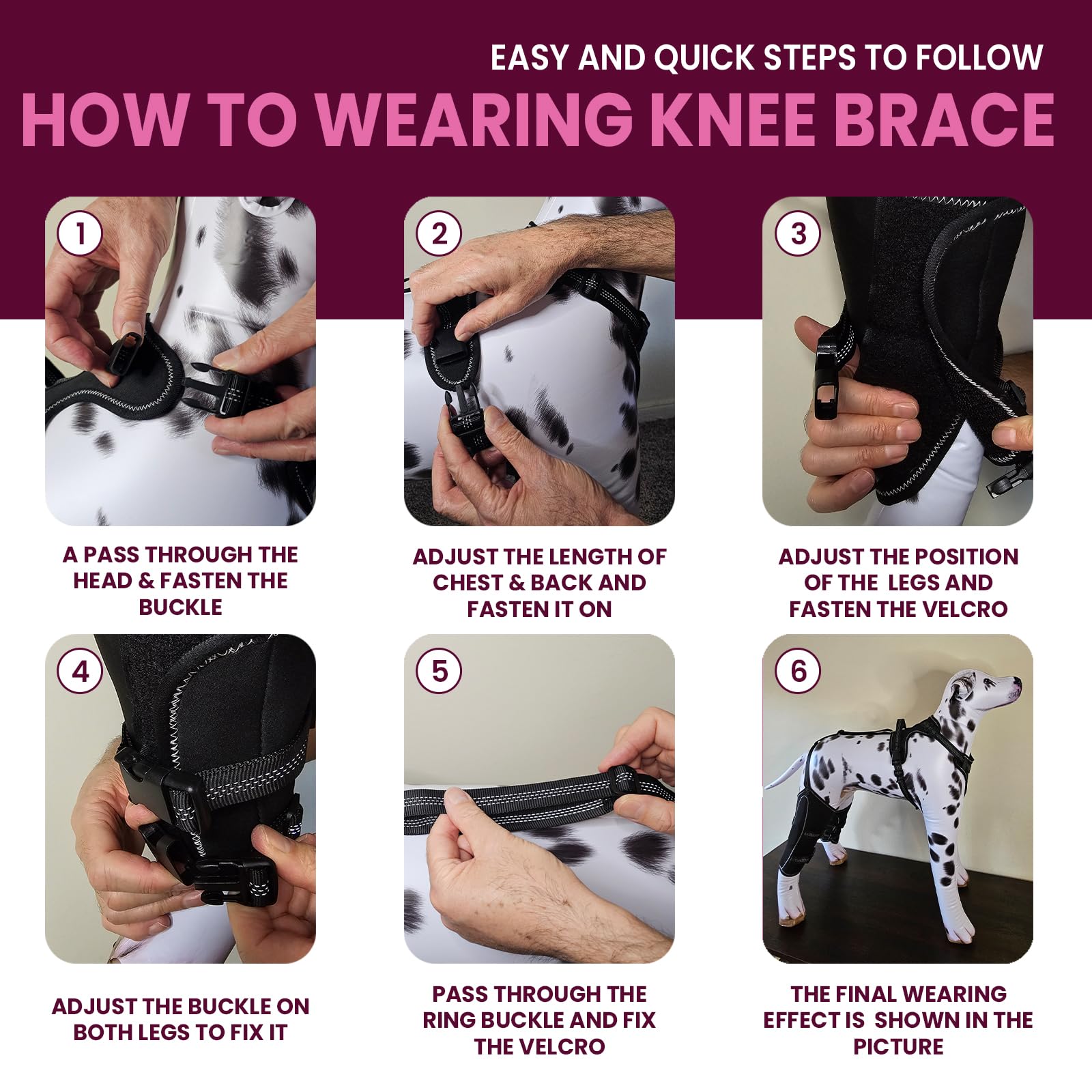 Dog Knee Brace for Torn ACL/CCL Hind Leg