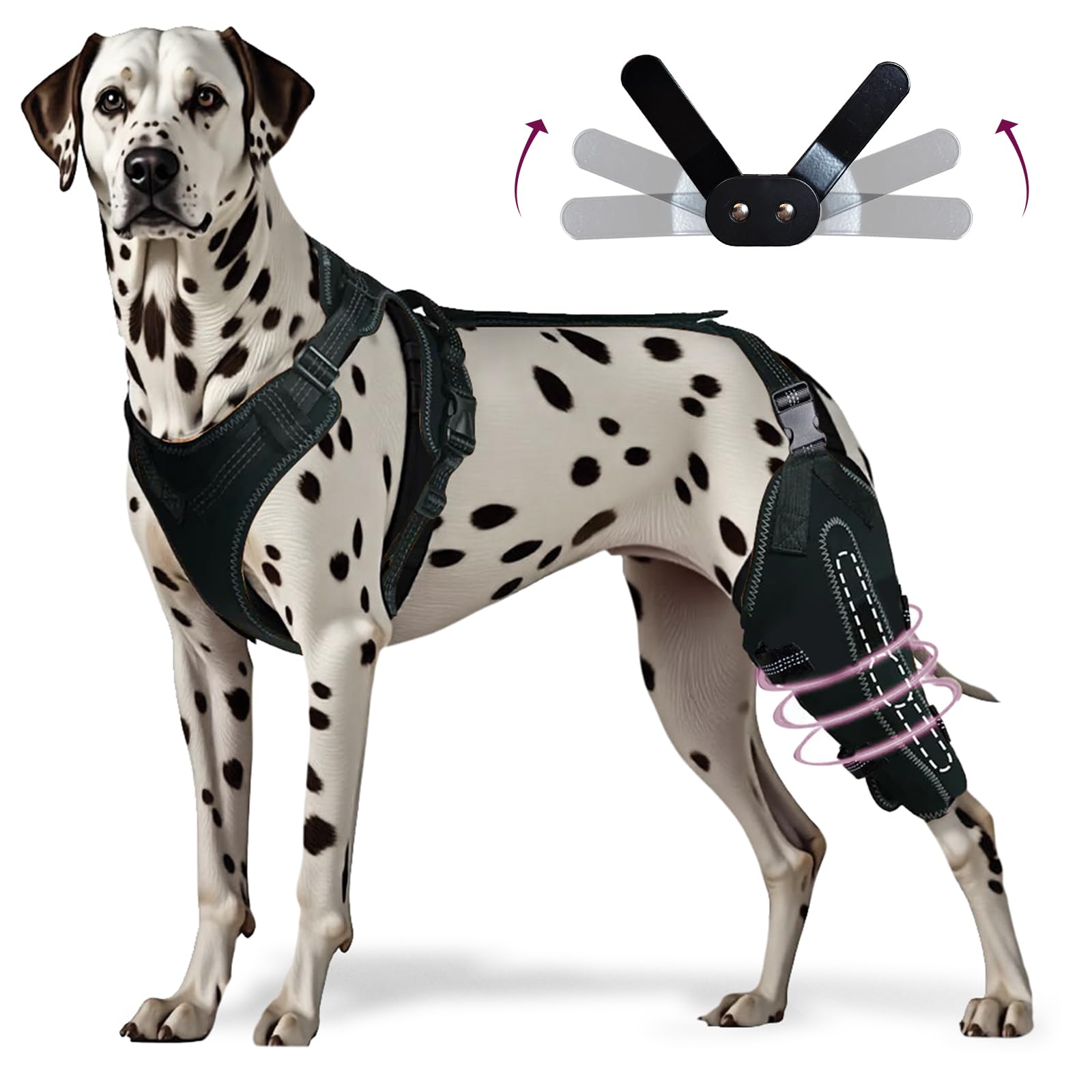 Dog Knee Brace for Torn ACL/CCL Hind Leg