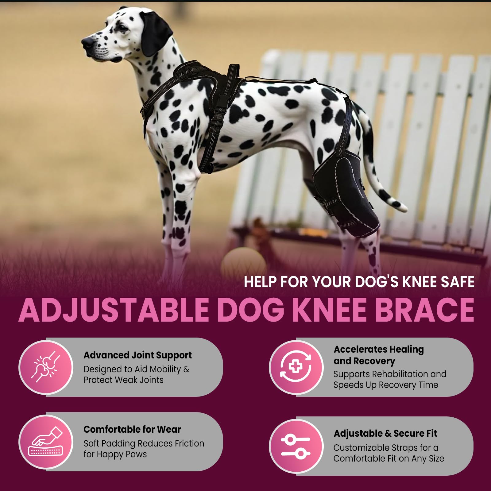 Dog Knee Brace for Torn ACL/CCL Hind Leg