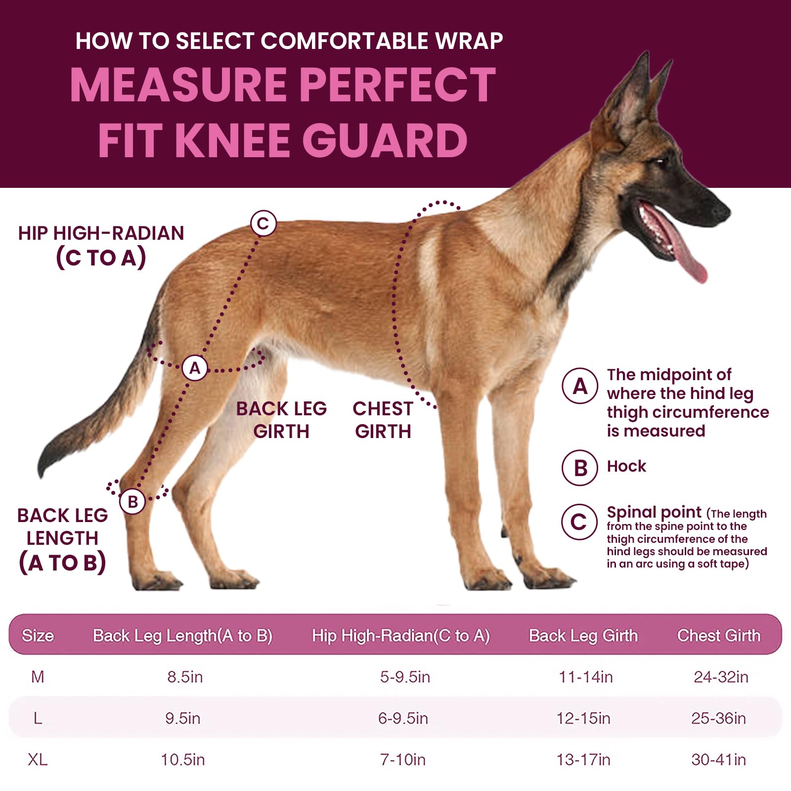 Dog Knee Brace for Torn ACL/CCL Hind Leg