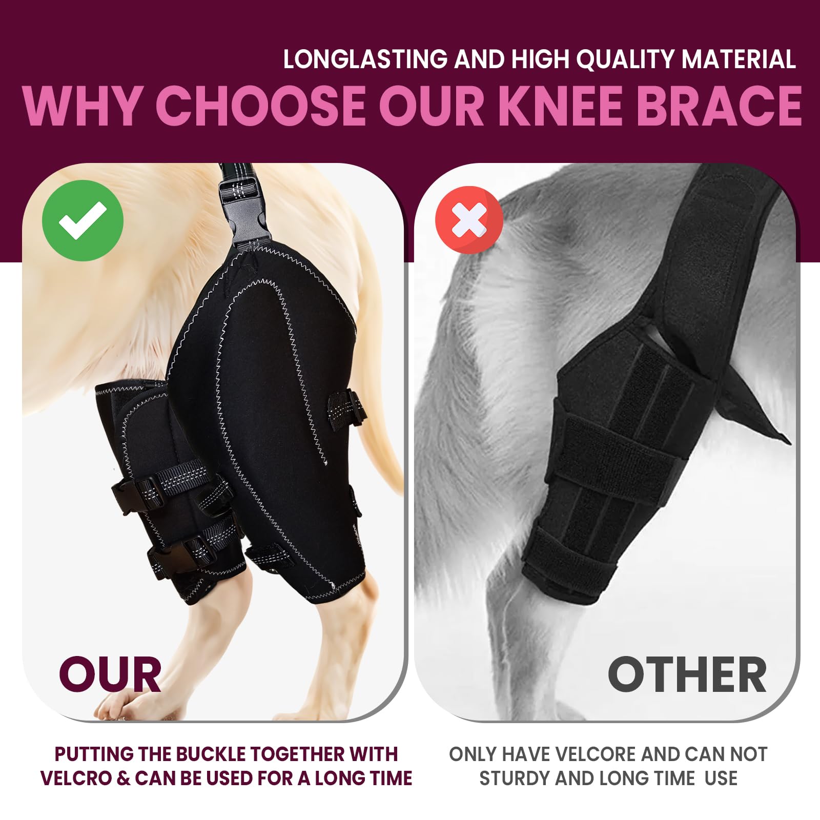 Dog Knee Brace for Torn ACL/CCL Hind Leg