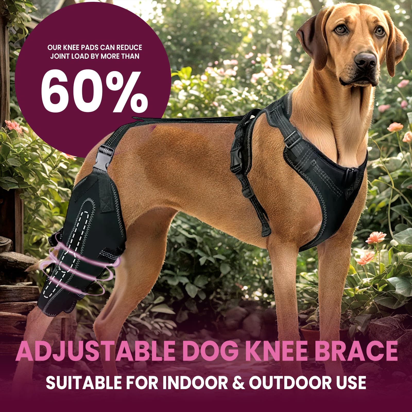 Dog Knee Brace for Torn ACL/CCL Hind Leg