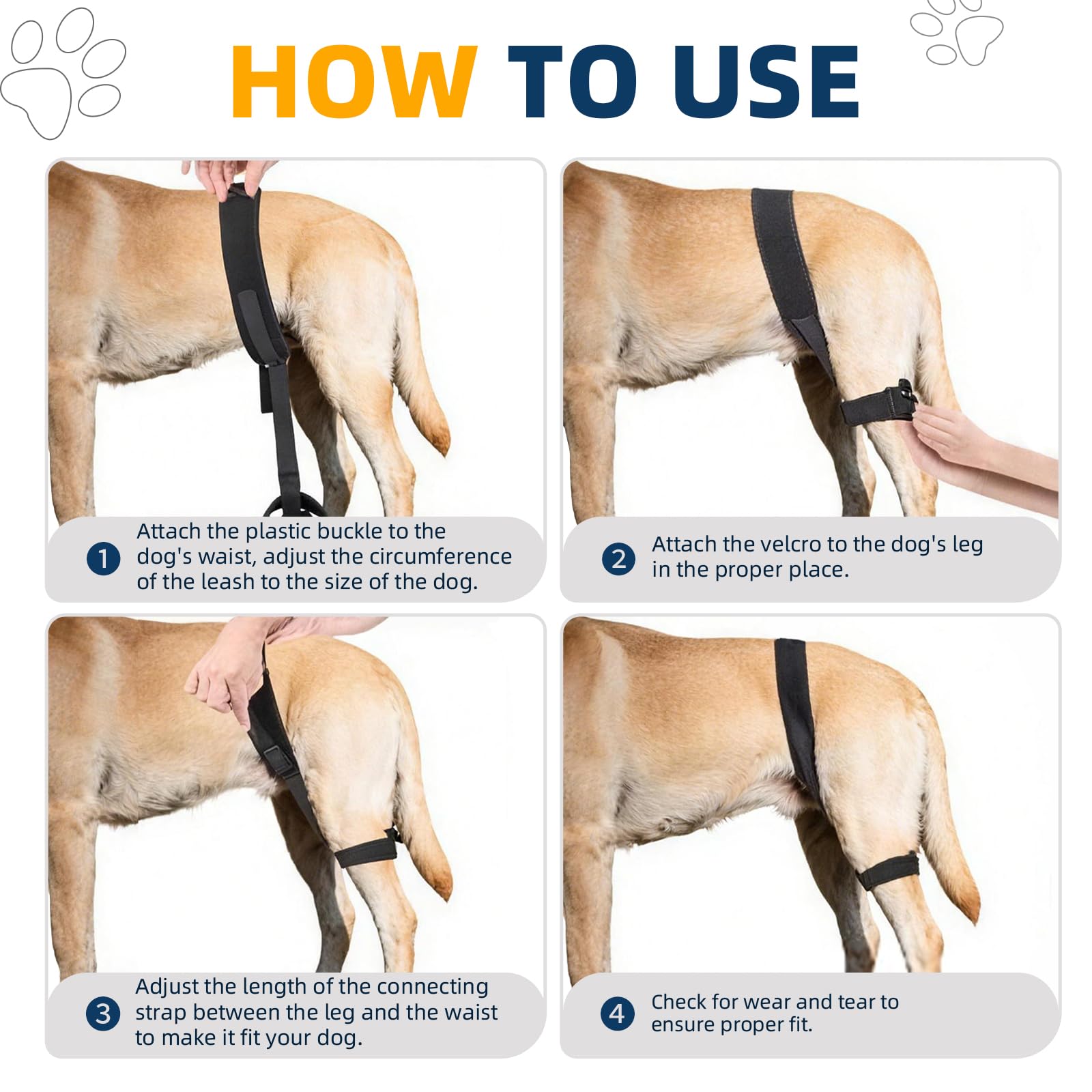 Dog Hip Brace for Hip Dysplasia 