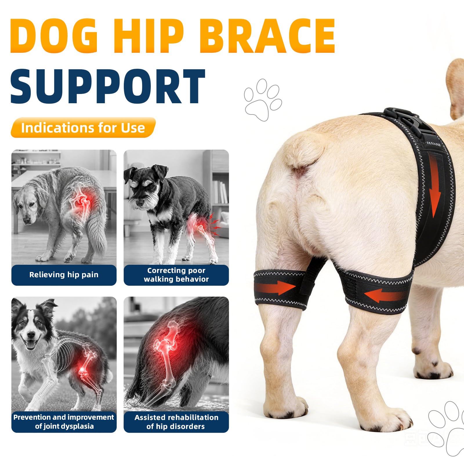 Dog Hip Brace for Hip Dysplasia 