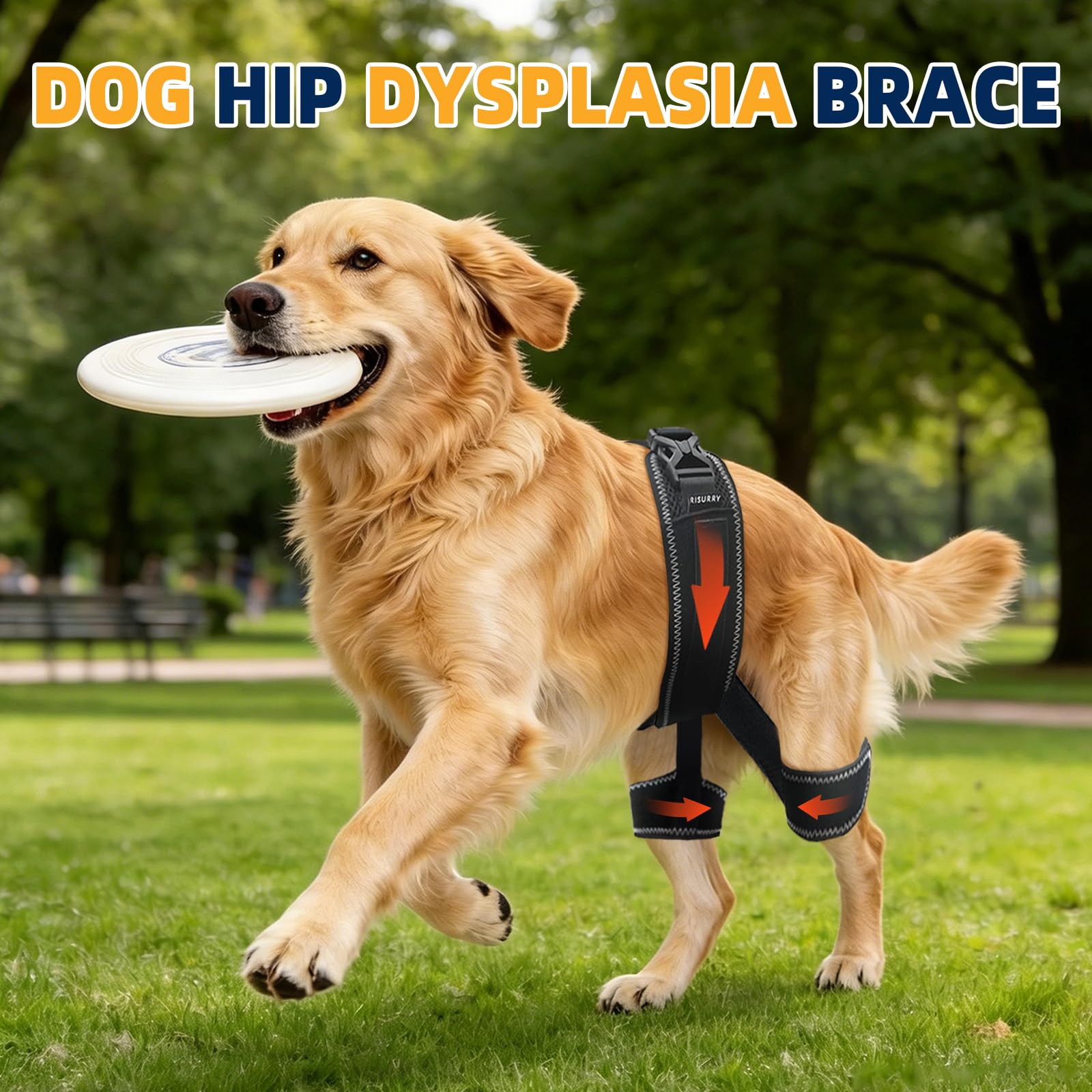 Dog Hip Brace for Hip Dysplasia 