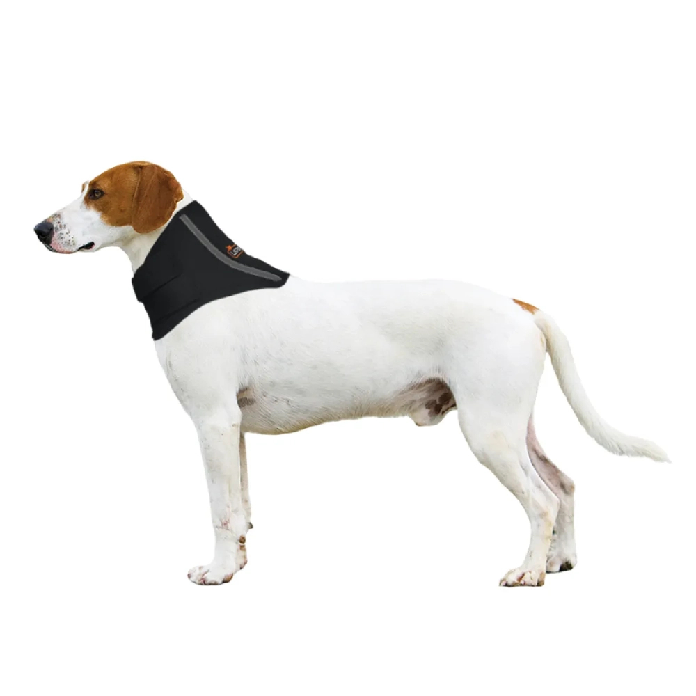 Dog Neck Brace Collar for IVDD & Neck Injuries