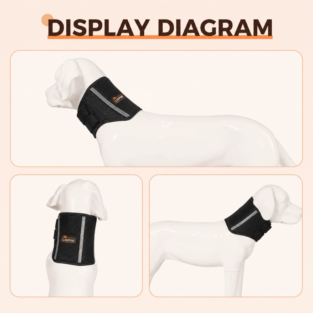 Dog Neck Brace Collar for IVDD & Neck Injuries