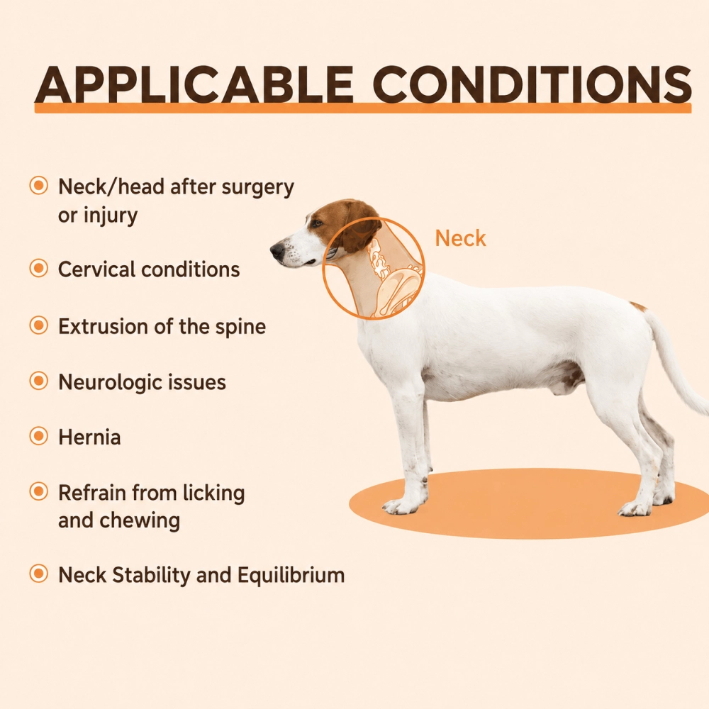 Dog Neck Brace Collar for IVDD & Neck Injuries