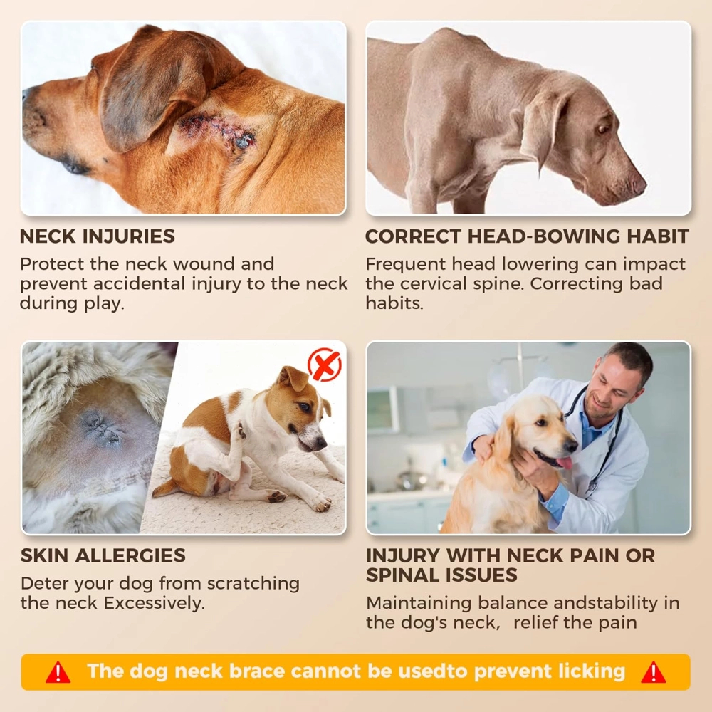 Dog Neck Brace Collar for IVDD & Neck Injuries