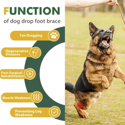 Dog Canine Knuckling Brace Rear Leg Dog Foot Brace Wrap  02