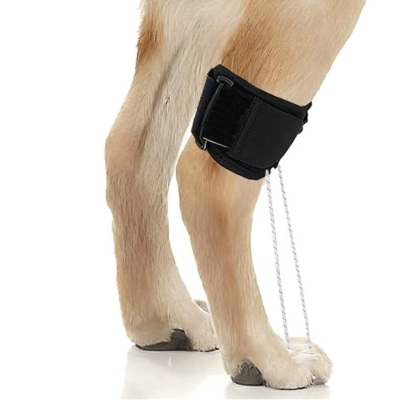 Dog Canine Knuckling Brace Rear Leg Dog Foot Brace Wrap  01