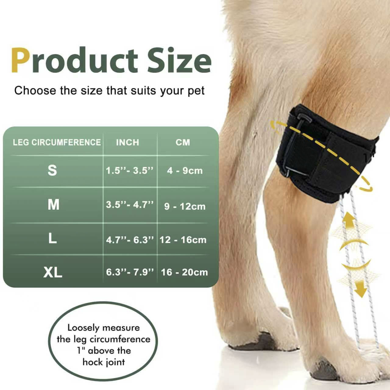Dog Canine Knuckling Brace Rear Leg Dog Foot Brace Wrap 