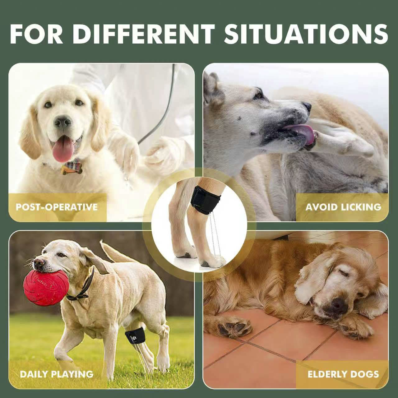 Dog Canine Knuckling Brace Rear Leg Dog Foot Brace Wrap 
