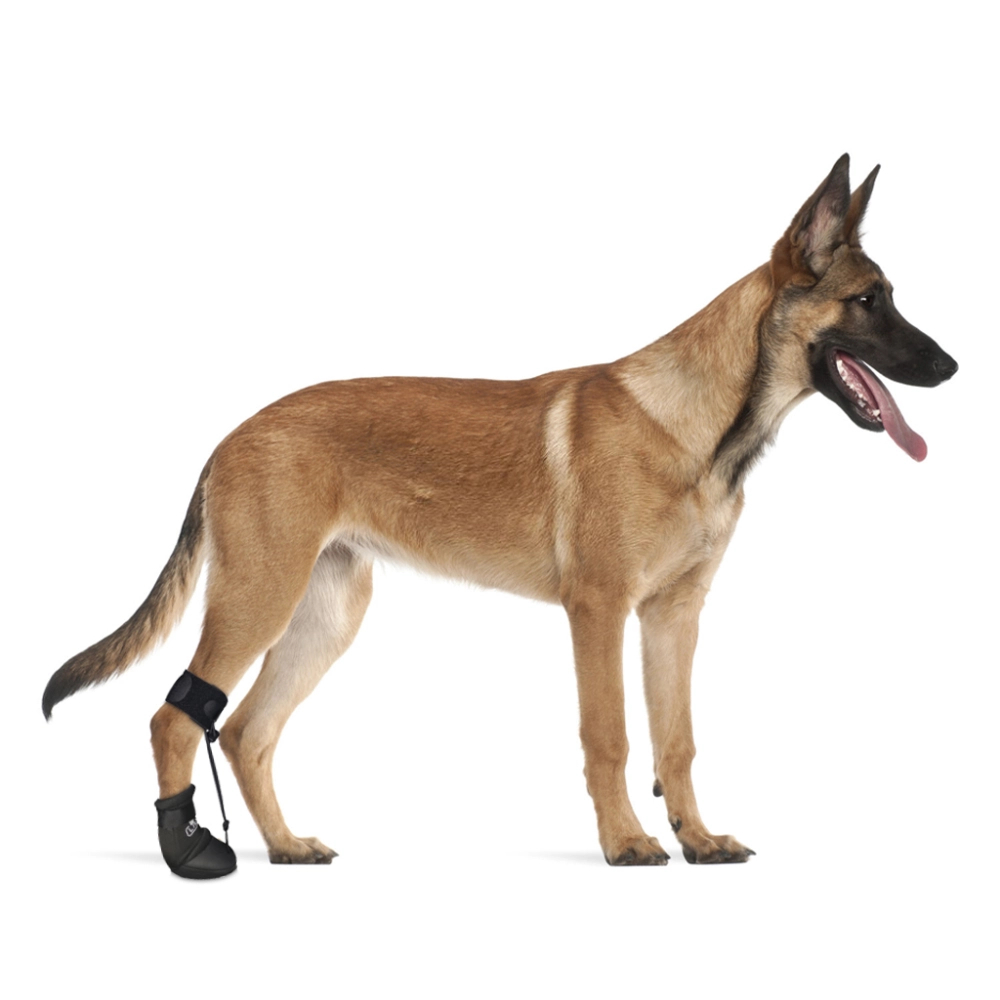 Knuckling Boot Brace for Dogs Dragging Paws Corrective Dog Shoes