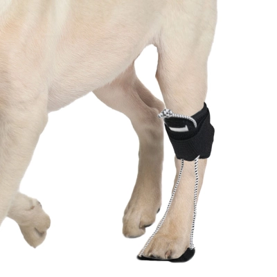 Dog Canine Knuckling Brace Rear Leg Dog Foot Brace Wrap 01