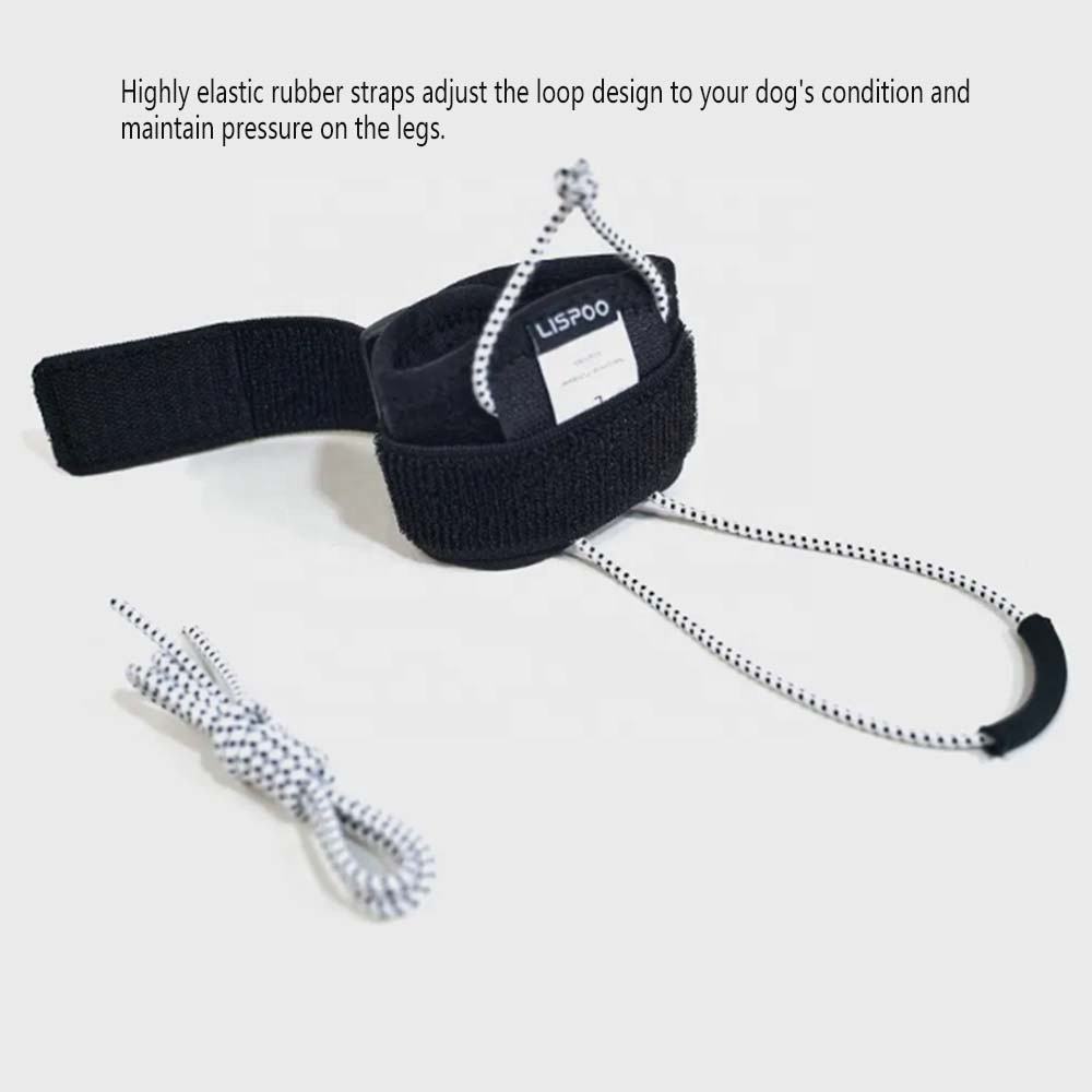 Dog Canine Knuckling Brace Rear Leg Dog Foot Brace Wrap