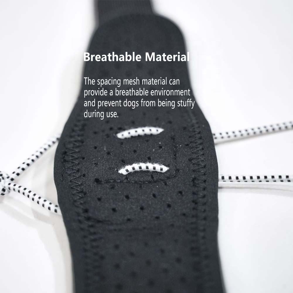 Dog Canine Knuckling Brace Rear Leg Dog Foot Brace Wrap