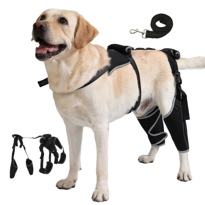 Adjustable Dog Knee Brace Support with Chest Harness 01