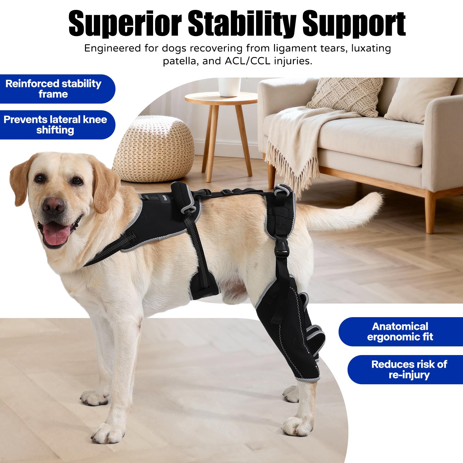 Adjustable Dog Knee Brace Support with Chest Harness